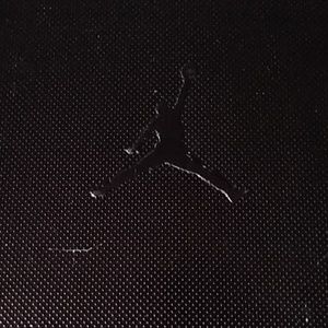 Jordan shoe carry case